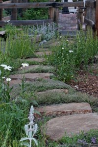 How to Stain Concrete via Hometalker ThriftDee