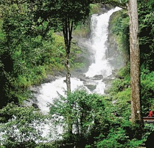 WaterfallsKF30jul2015