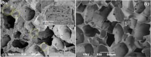 Left panel: Bioelastic foam with the spent coffee powder indicated by the yellow circles and the inset. Right panel: Pure elastic foam without coffee powder. Photo by Chavan et al., ACS Sustainable Chem. Eng., 2016