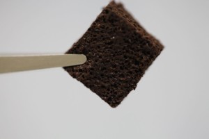 This coffee-infused bioelastic foam can filter lead from water. Photo by Chavan et al., ACS Sustainable Chem. Eng., 2016