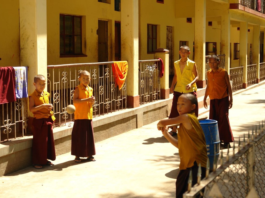A monastery in Bylakuppe, a hub for Tibetan monks in India. Charukesi Ramadurai 