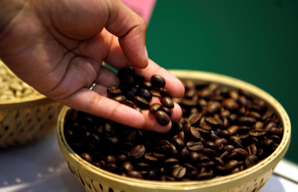 Zilient /  ARCHIVE PHOTO: A visitor checks coffee beans at the 'International Coffee Festival 2007'