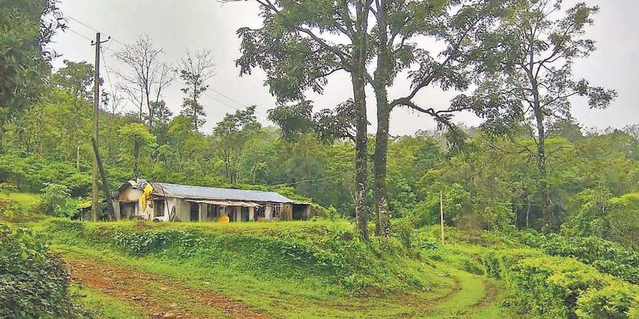 BeForest01KF26oct2019
