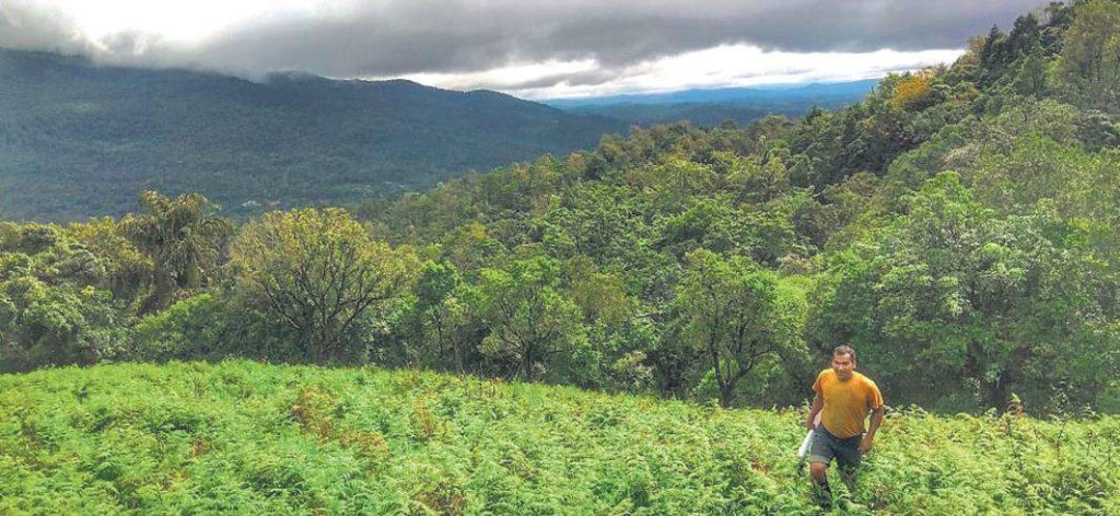 BeForest02KF26oct2019