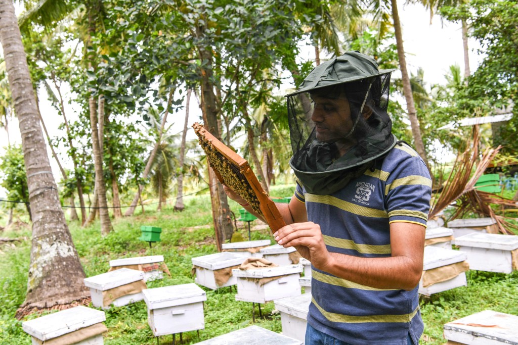 Honey02KF29oct2019