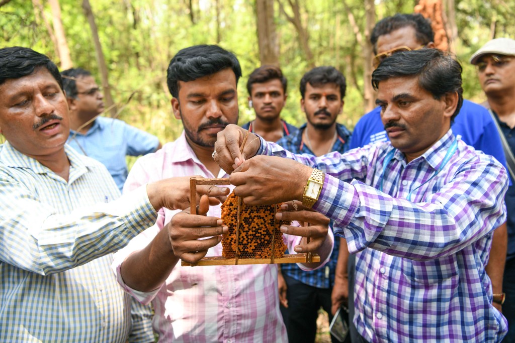 Honey22KF29oct2019
